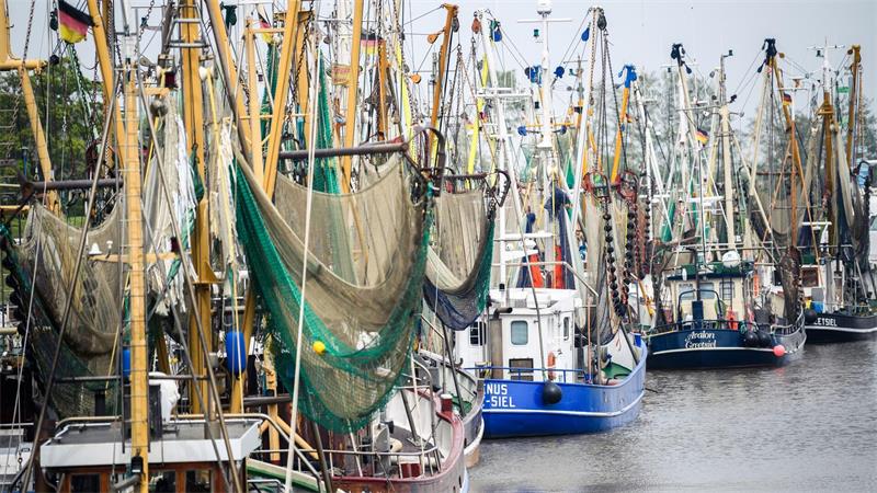 Fischfang verboten? Streit um Schutzgebiete in der Nordsee Mit den Vorschlägen sind weder die Fischer noch die Umweltverbände zufrieden. (Archivfoto)