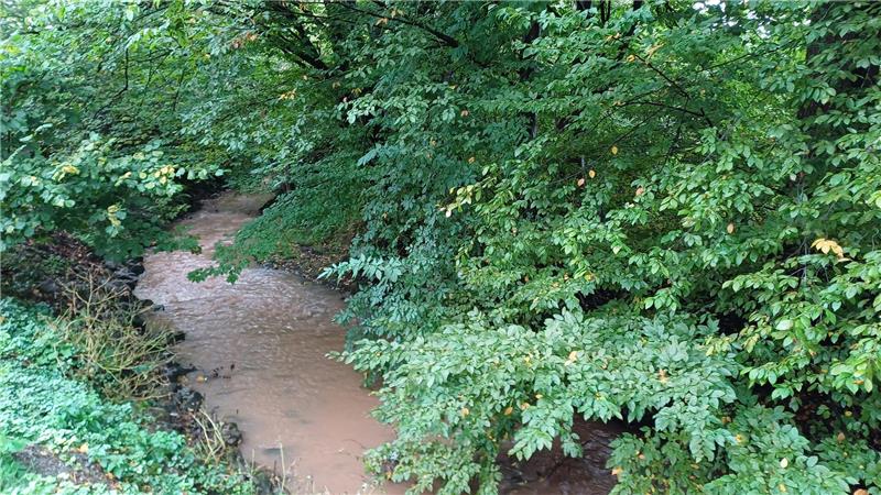 Ein Fluss über den Bäume wachsen.