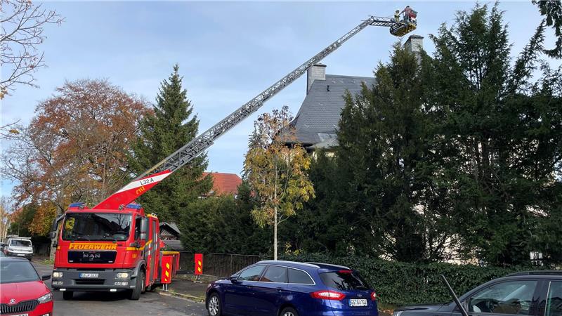 Rauch im Kamin kann nicht entweichen: Goslarer Feuerwehr rückt aus Mit der Drehleiter ist die Feuerwehr am Claustorwall im Einsatz, um ein Vogelnest aus einem Schornstein zu holen.