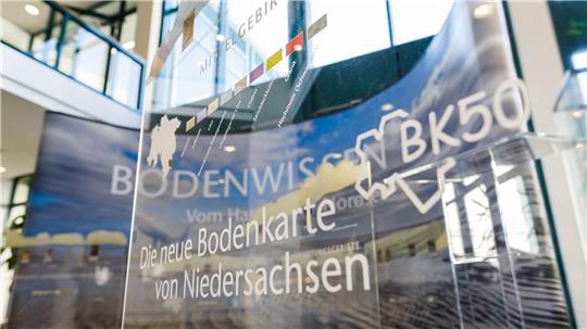 Mit der Untersuchung von Gesteinsproben wollen Wissenschaftler die Umwelt vor rund 200 Millionen Jahren in der Region Hannover erforschen. (Symbolbild)