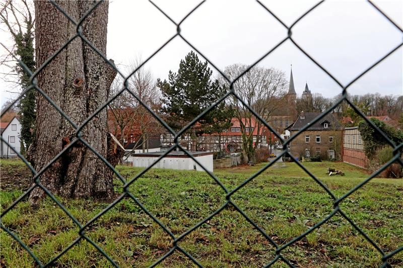 Was geschieht mit Lutters altem Apotheken-Park? Mit der künftigen Gestaltung des ehemaligen Apotheken-Parks in Lutter beschäftigt sich der Ortsrat in seiner Sitzung an diesem Mittwoch. Sie beginnt um 19 Uhr im Bürgerbüro. Foto: Gereke