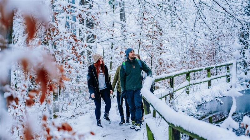 Mit ein bisschen Glück präsentieren sich Bad Harzburgs Wanderwege im Januar verschneit.