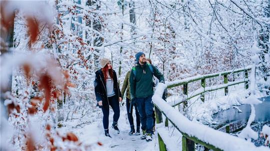 Mit ein bisschen Glück präsentieren sich Bad Harzburgs Wanderwege im Januar verschneit.