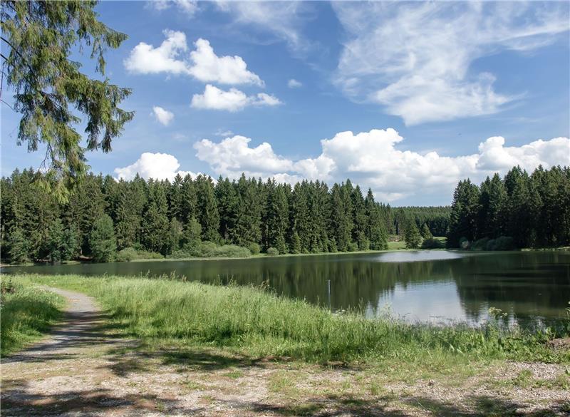 Ausstellung „Harz Wald“: Bilder zeigen die vergangene Seite Mit einem Foto des Oberen Flambacher Teichs fängt alles an. Foto: Döler