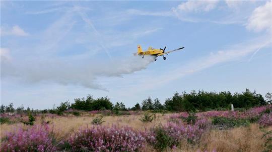 Mit einem Löschflugzeug üben Einsatzkräfte im Harz die Waldbrandbekämpfung.