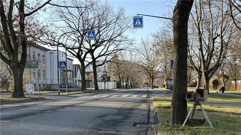 Leere Straße mit mehreren Fußgängerüberweg-Schildern an Bäumen und Masten entlang einer von Bäumen gesäumten Straße. Am Rand steht ein Blitzer.
