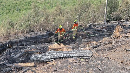 Mit einem Schlauch löschen Feuerwehrleute Reste des Feuers an dem steilen Hang oberhalb der Granetalsperre, das sich tief in den Waldboden gefressen hat.