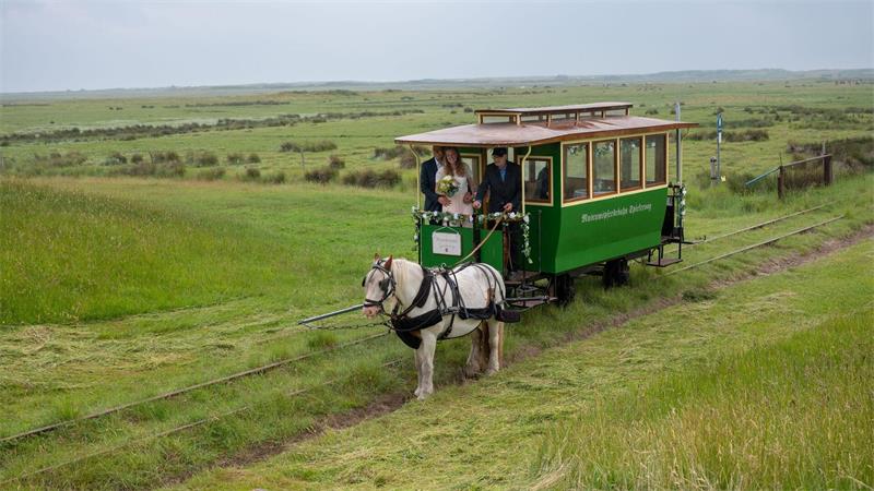 Heiraten bei 1 PS – Spiekeroogs Pferdebahn wird zum Trauort Mit einem geschmückten historischen Wagen fährt das Brautpaar in die Salzwiesen.