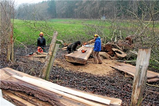 Mit einem mobilen Sägewerk wird der Stamm des 150 Jahre alten Walnussbaums bei Könneckenrode zerlegt.  Foto: Leifeld