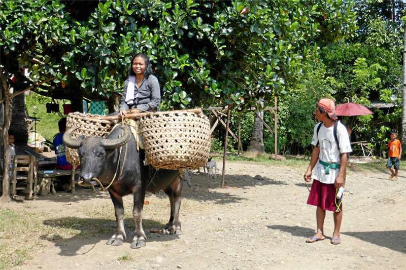 Mit einer Büffelstärke unterwegs.
