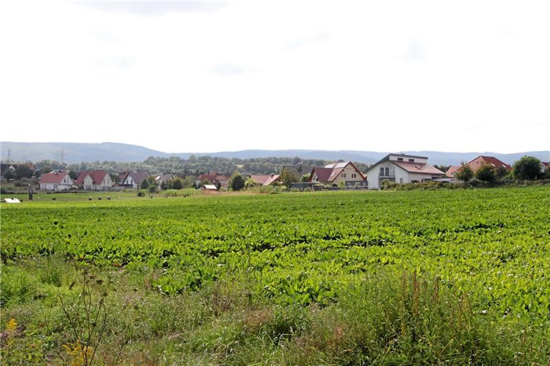 Mit großer Mehrheit hat der Rat die weitere Bebauung des Kirchenfeldes in Westerode beschlossen. Fotos: Schlegel