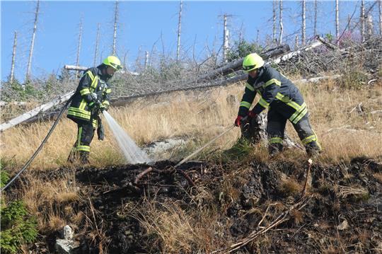 Mit intensivem Wassereinsatz aus dem Tanklöschfahrzeug verhindern die Einsatzkräfte der Freiwilligen Feuerwehr, dass die Flammen des kleinen Flächenbrandes den Wald oberhalb erreichen.  Foto: Eggers