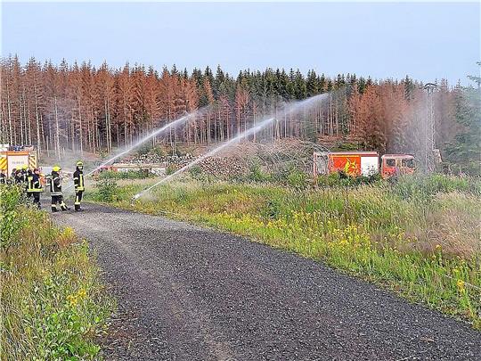 Mit modernem Gerät trainieren die Feuerwehrleute die Bekämpfung des fiktiven Waldbrandes. Foto: Feuerwehr