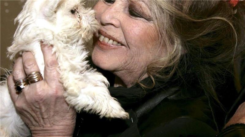 Mit rund 40 Jahren zog Bardot sich abrupt aus dem Filmgeschäft zurück. 