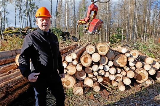 Mit schwerem Gerät gegen Totholz: Sachsen-Anhalts Forst- und Wirtschaftsminister Sven Schulze steht in einem Waldstück in Schierke vor einem Holzstapel. Am Donnerstag haben die Arbeiten für den Brandschutz rund um Schierke begonnen. Foto: Bein
