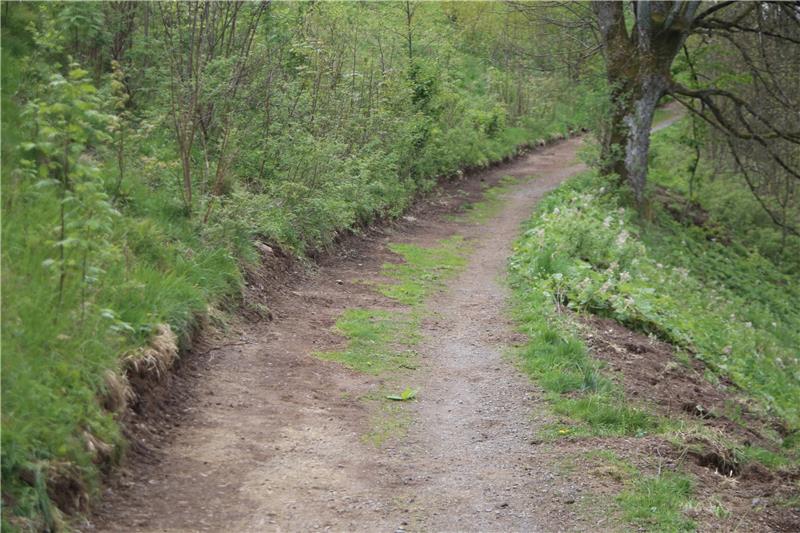St. Andreasberg: Stadt verbreitert Weg am Schwalbenherd Mit schwerem Gerät haben die Mitarbeiter der Städtischen Betriebe Braunlage unter anderem das Gestrüpp am Wanderweg hinter der Brücke entfernt. „Das wäre sonst in ein paar Jahren alles zugewuchert“, sagen die Ratsmitglieder Karl-Heinz Plosteiner (CDU) und Hans-Dieter Lambertz (Bürgerliste), die sich dafür engagiert hatten. Foto: Jung