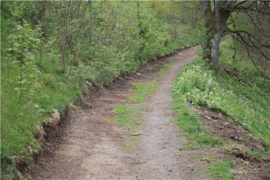 Mit schwerem Gerät haben die Mitarbeiter der Städtischen Betriebe Braunlage unter anderem das Gestrüpp am Wanderweg hinter der Brücke entfernt. „Das wäre sonst in ein paar Jahren alles zugewuchert“, sagen die Ratsmitglieder Karl-Heinz Plosteiner (CDU) und Hans-Dieter Lambertz (Bürgerliste), die sich dafür engagiert hatten.  Foto: Jung