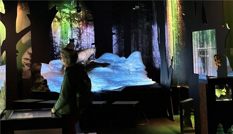 Kulturbummel führt vom Gestüt bis hinauf zum Burgberg Mit vielen visuellen Erlebnissen und vielen Eindrücken vom Waldumbau, der gerade im vollen Gange ist, informiert die Ausstellung im Harzwaldhaus.