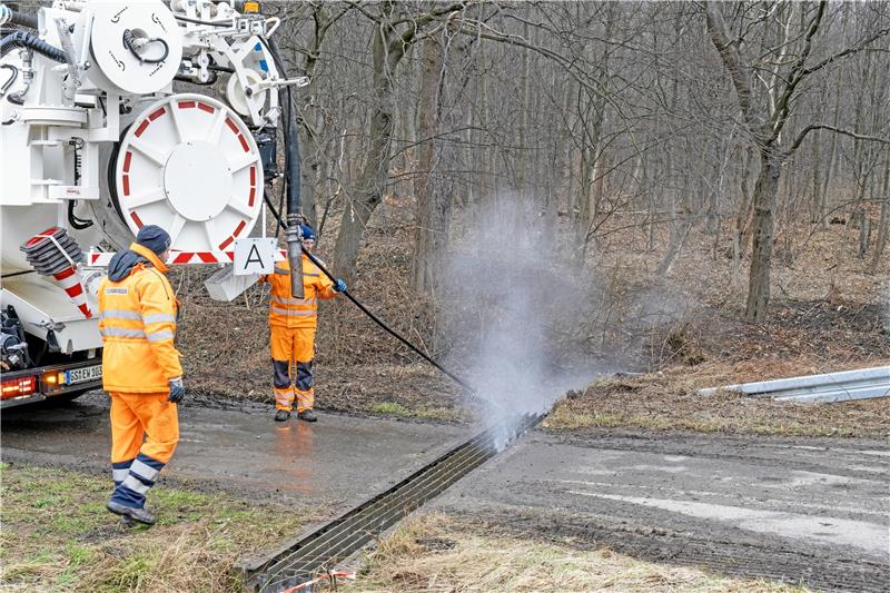 Im Landkreis Goslar: Krötenschützer suchen wieder Helfer Mitarbeiter der Firma Eurawasser helfen, um ein Gitter freizuspülen, durch das die Tiere fallen, damit sie sicher zu ihrem Laichgewässer am Krähenholz gelangen.