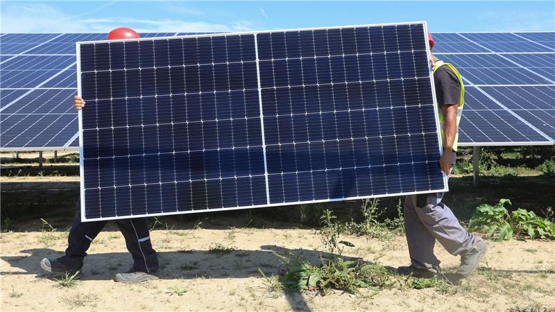 Mitarbeiter einer Montagefirma tragen ein Solarmodul durch den Solarpark.