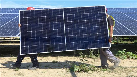 Mitarbeiter einer Montagefirma tragen ein Solarmodul durch den Solarpark.