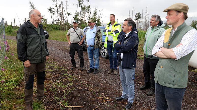 Im Ostharz wächst langsam ein neuer Wald heran Mitglieder des „Krisenstabs Wald“ unter Vorsitz von Landrat Thomas Balcerowski (3. v. r.) verschaffen sich im Kommunalwald von Ilsenburg einen Überblick über die Fortschritte bei der Aufforstung der Harzer Wälder.