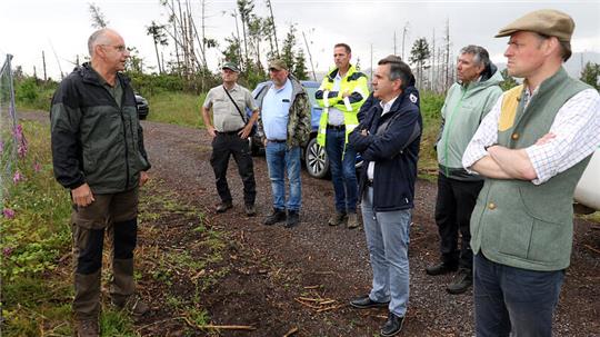 Mitglieder des „Krisenstabs Wald“ unter Vorsitz von Landrat Thomas Balcerowski (3. v. r.) verschaffen sich im Kommunalwald von Ilsenburg einen Überblick über die Fortschritte bei der Aufforstung der Harzer Wälder.