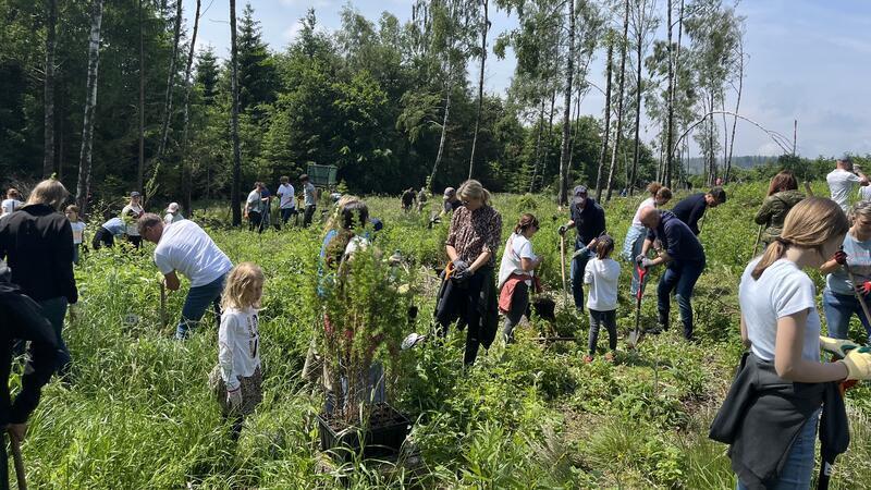 „Werde Waldmeister“ geht in die nächste Runde: Wer macht mit? Mitglieder des Lions-Clubs Hannover pflanzen mit dem Verein Braunlager Bäume am Wurmberg neue Bäume.