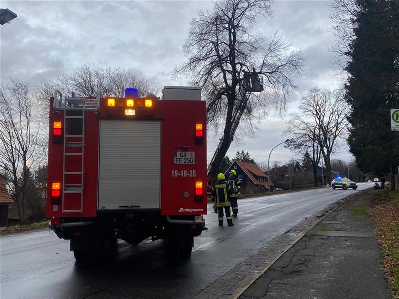 Mithilfe der Drehleiter schneiden die Einsatzkräfte der Feuerwehr die Äste von der Krone des Baumes in der Tanner Straße, die auf die Fahrbahn zu fallen drohen.