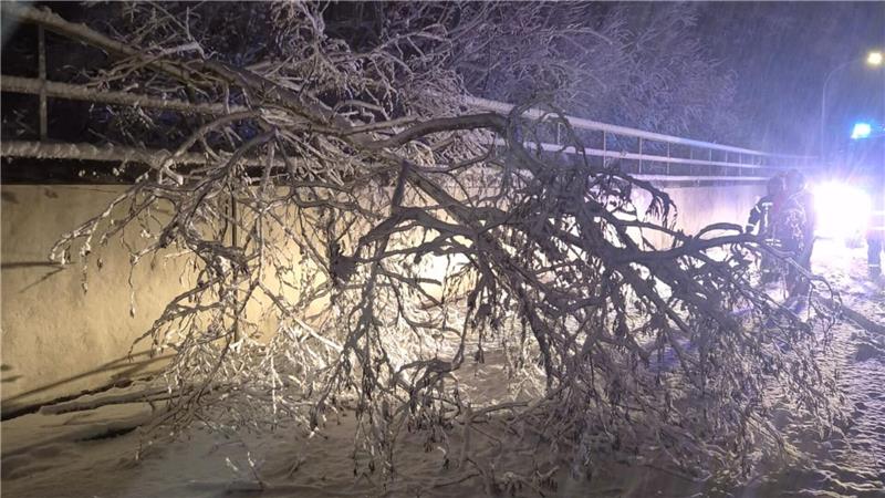 Unfälle nach Schnee im Oberharz: Polizei und Feuerwehr im Einsatz Mitten in der Nacht ist ein Laubbaum auf die K37 gefallen und blockierte die Fahrbahn in ihrer gesamten Breite. Die Feuerwehr hat sich schnell gekümmert.