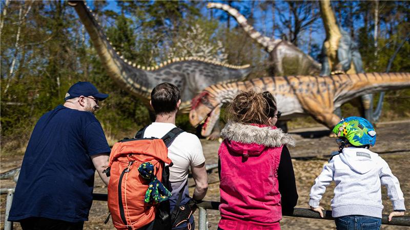 Dinopark zeigt Artenreichtum vor 140 Millionen Jahren Modelle von Dinosauriern stehen im „Dino-Park Münchehagen“.