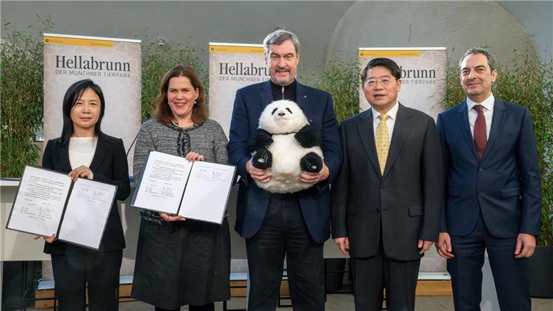Möglich macht das ein Leihvertrag, den der Tierpark mit China unterzeichnet hat.