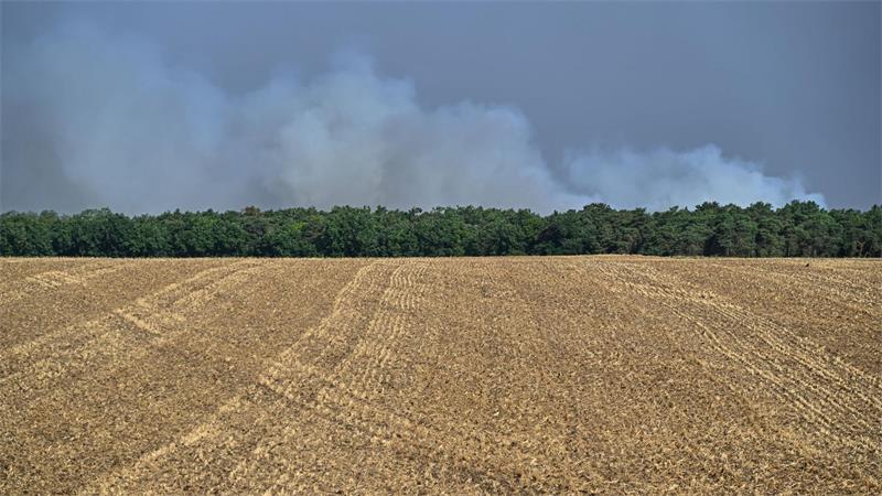 Möglicherweise ist der Brand im Wald von Fontainebleau absichtlich gelegt worden.