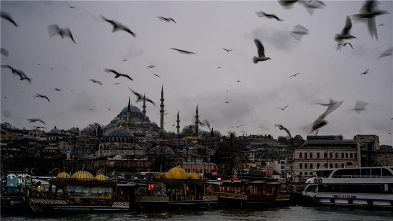 Möwen fliegen an einem regnerischen Tag über dem Bosporus.