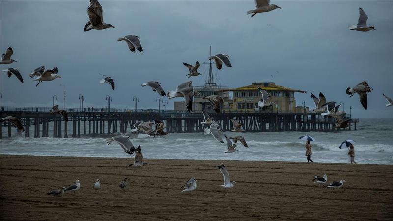 Möwen fliegen neben dem Santa Monica Pier nach heftigen Regenfällen in Kalifornien.