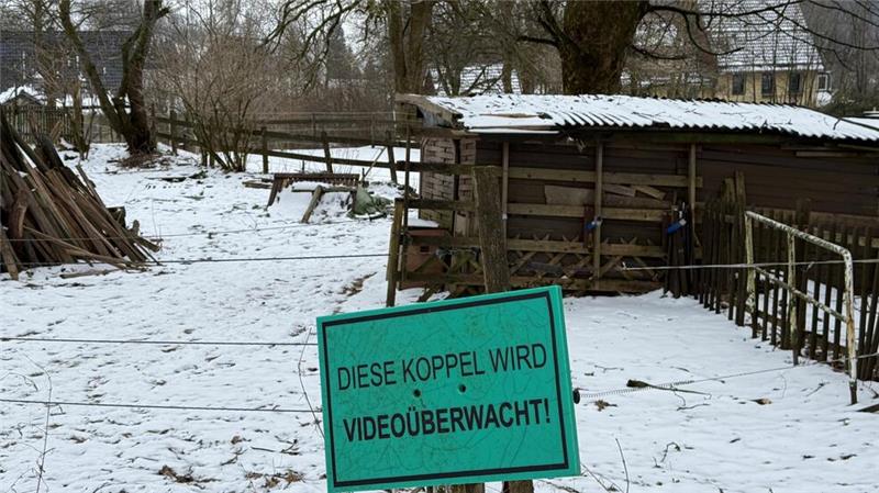 Junger Mann soll in St. Andreasberg ein Pony missbraucht haben Monika Hamelmann hat Koppel und Stall erst seit April vergangenen Jahres gepachtet. Jetzt weiß sie nicht, wie es weitergehen soll.