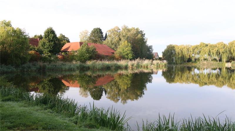 Ortsbürgermeisterin gewinnt bei Hörfunksendung ein Radio Montagvormittag: Mühlenteich-Idylle in Lutter am Barenberge.