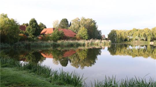 Montagvormittag: Mühlenteich-Idylle in Lutter am Barenberge.
