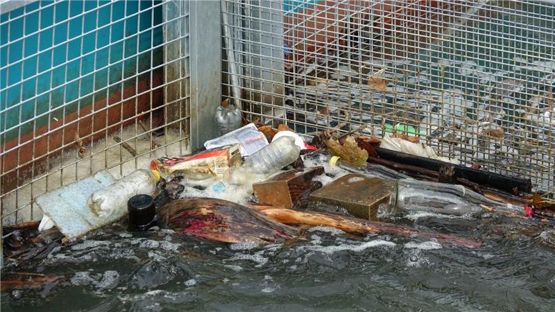 Müll hat sich in den beiden Körben der Müllfalle „RheinKrake“ verfangen. (Handout)