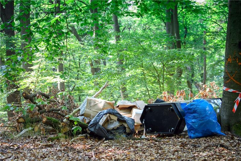 Illegale Müllkippen im Wald: Problem der exotischen Pflanzen Müll liegt neben eienr Straße im Wald.