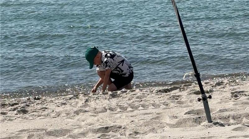 Muscheln sammeln am Strand.