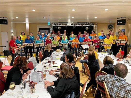 Musikalische Grüße: Mit einem Dankeschön-Abend würdigt der Landkreis das Engagement von Pflegeeltern. Foto: Landkreis