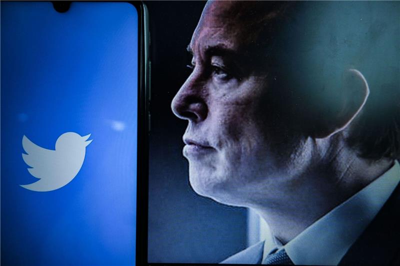 Was macht Elon Musk aus Twitter? Musk zeigte Interesse an einem Kauf von Twitter.
