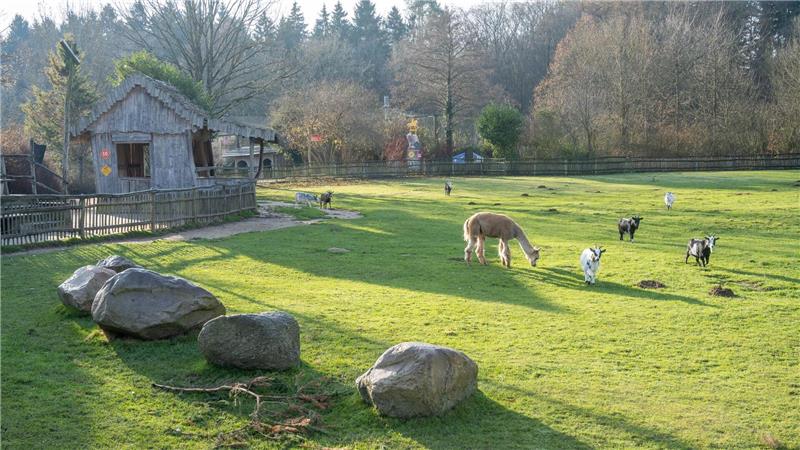 Nach Auffassung des Landgerichts Stralsund hat der Vogelpark Marlow seine Pflichten erfüllt. (Archivbild)