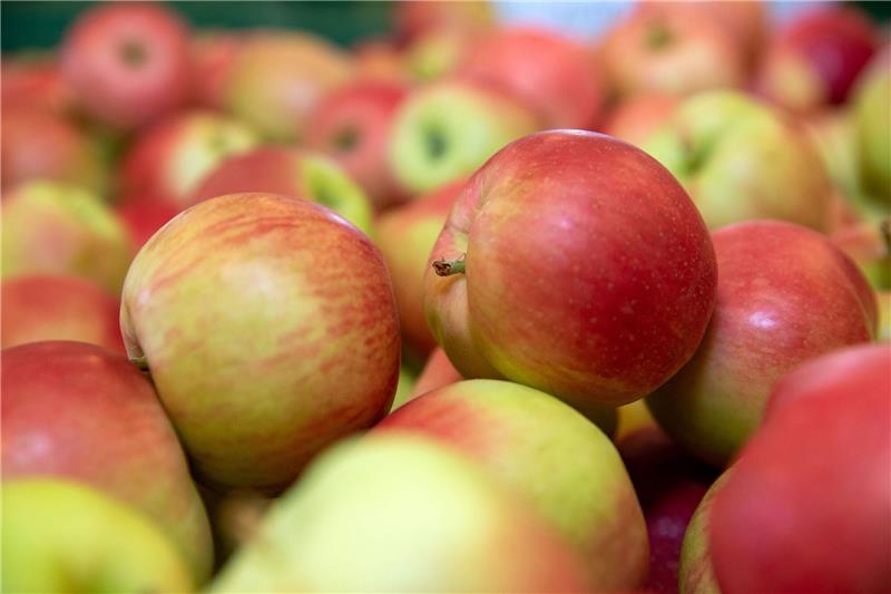 Nach Gemüse könnte auch Obst in Großbritannien knapp werden Nach Gemüse könnten in Großbritannien nach Einschätzung von Landwirten auch Äpfel und Birnen knapp werden.