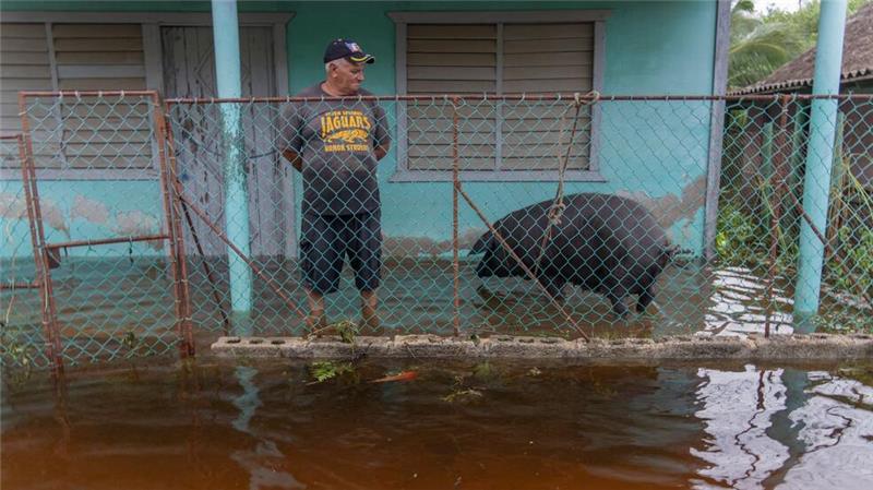 Nach Hurrikan „Helene“ auf Kuba: ein Mann steht mit seinem Schwein auf seiner überfluteten Terrasse.
