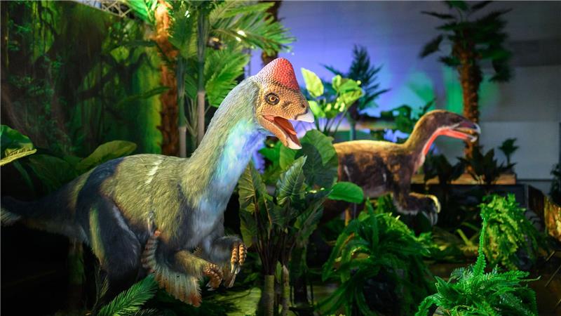 Nach Stationen in Dortmund, Wien und Friedrichshafen mit laut Veranstalter mehr als 220.000 Besuchern ist die Ausstellung erstmals in Niedersachsen zu sehen.