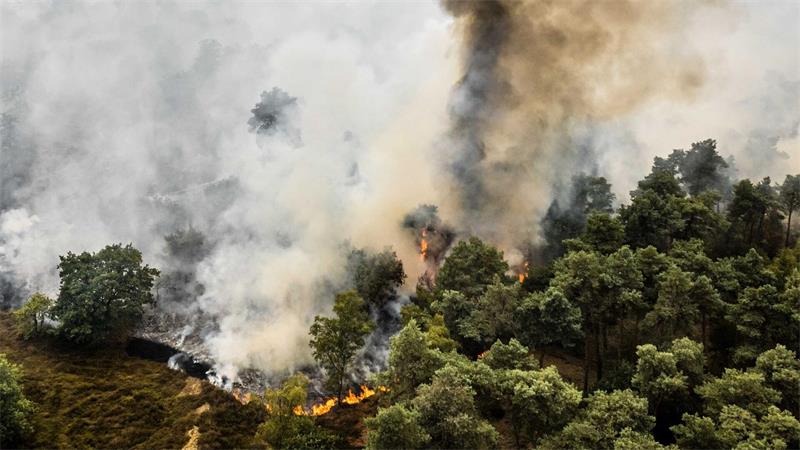 Schlimme Brände in Griechenland - und jetzt auch in den USA Nach anhaltender Trockenheit breiten sich die Flammen im Naturschutzgebiet De Rosmolen schnell aus.