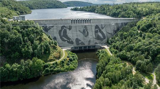 Nach beinahe vier Wochen Arbeit ist das Werk vollbracht: Elf Schmetterlinge flattern auf der Staumauer der Rappbodetalsperre. Sie wurden nach Motiven des Künstlers Klaus Dauven aus der verschmutzten Mauer herausgekärchert.
