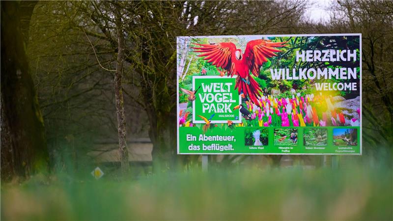 Nach dem Ausbruch der Geflügelpest bleibt der Vogelpark Walsrode vorübergehend geschlossen. (Archivbild) 